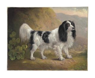 Sawrey Gilpin - A Black and White English Springer Spaniel in a Landscape