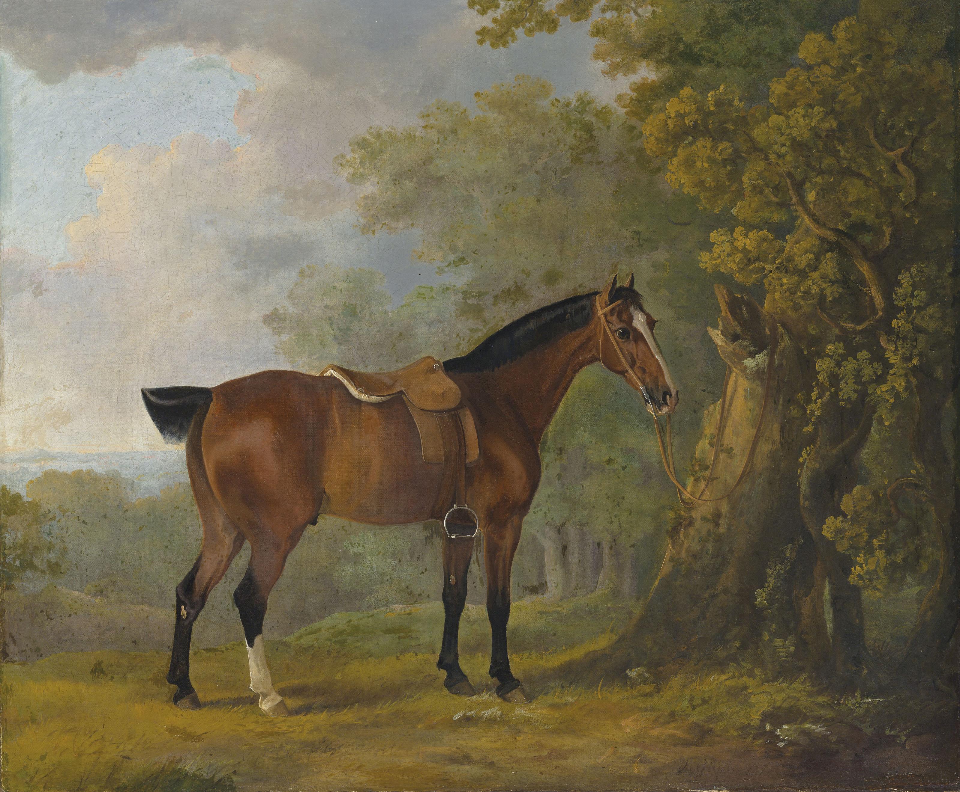 Sawrey Gilpin - A Chestnut hunter in a wooded landscape