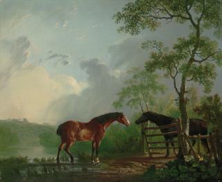 Sawrey Gilpin - A mare and stallion in a wooded landscape, beside a lake