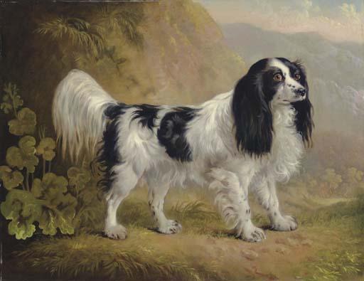 Sawrey Gilpin - A Spaniel In A Landscape