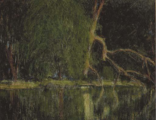 Saxton Burr - Verdant forest