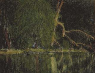 Saxton Burr - Verdant forest