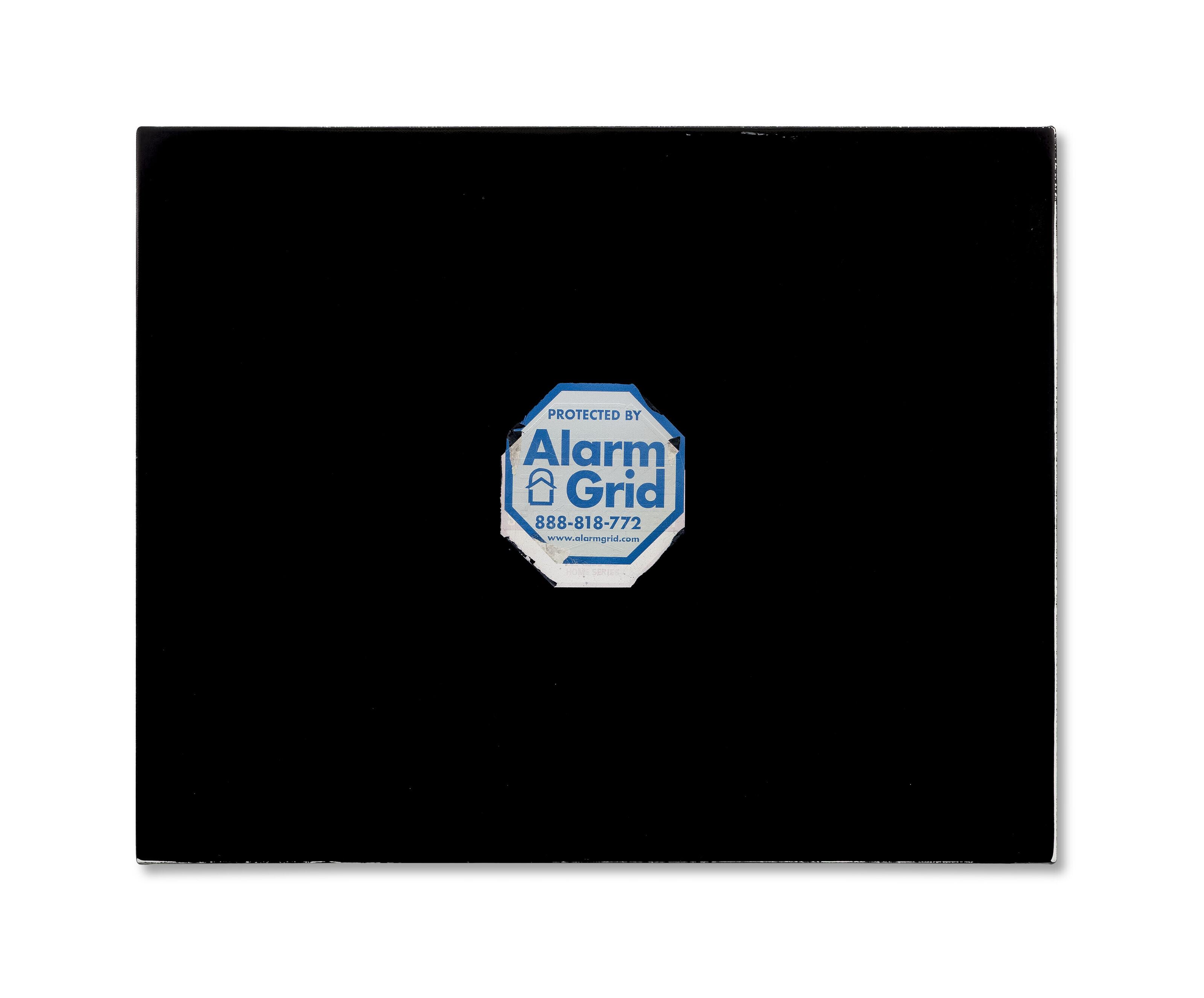 Sayre Gomez - A Safe Space (5)