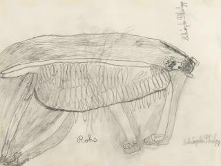 Schöpke P. - „Rohs“