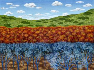 Scott Kahn - Into the Woods