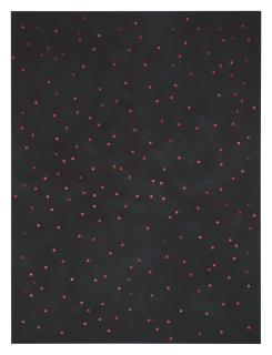Scott Reeder - Untitled (Black With Red Pennies)