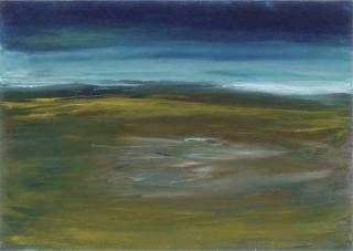 Seán Mcsweeney, H.R.H.A. - Sligo Boglands