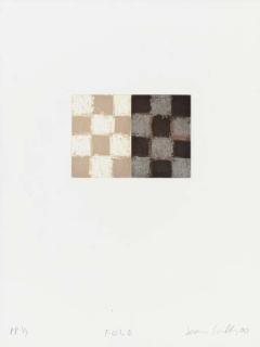 Sean Scully - Fold