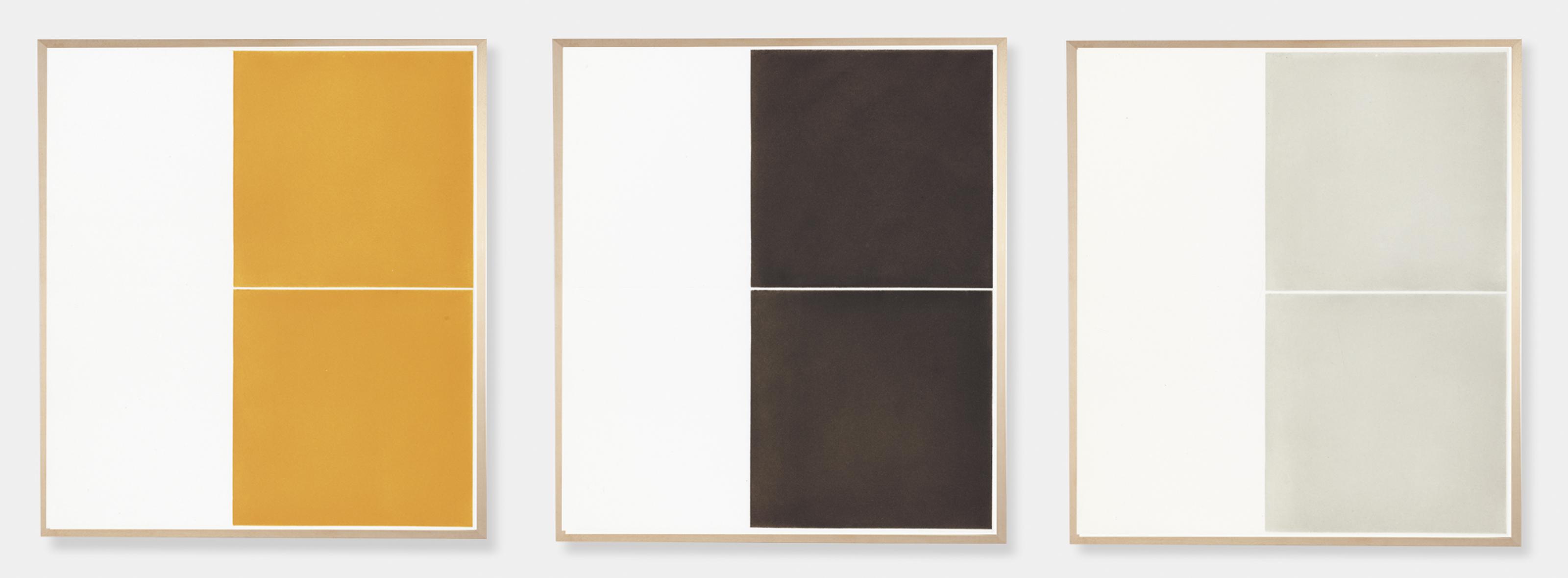 Sean Shanahan - 3 in 1