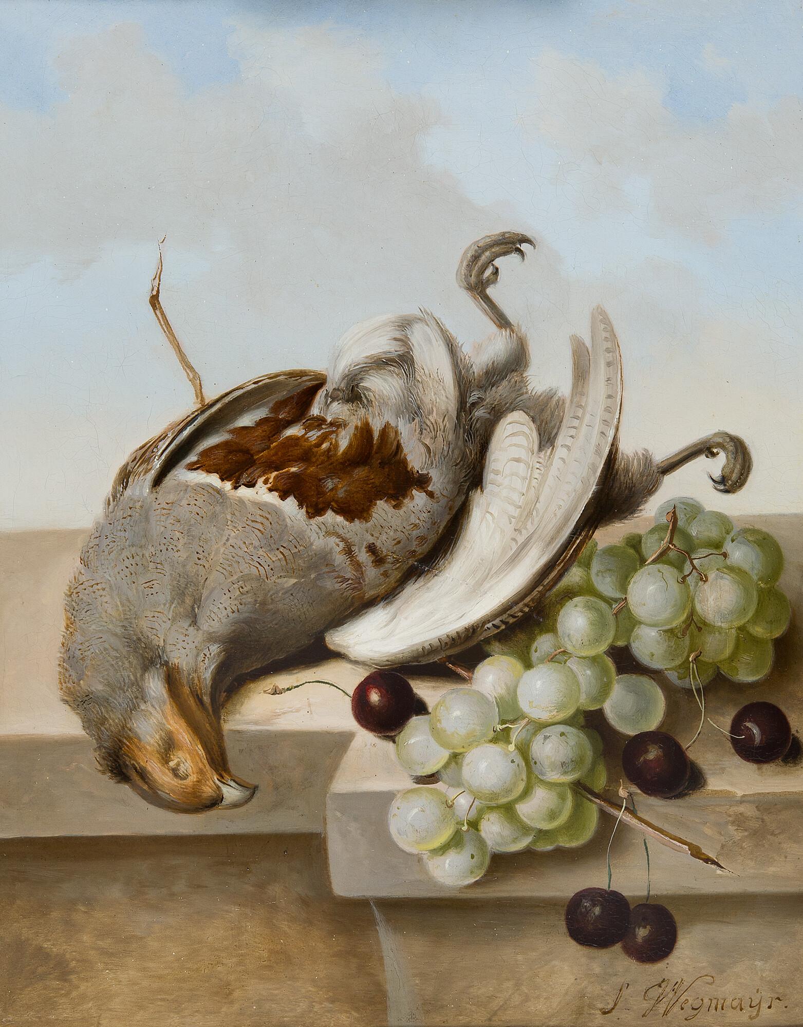 Sebastian Wegmayr - Stillleben mit Trauben, Kirschen und einem Greifvogel.