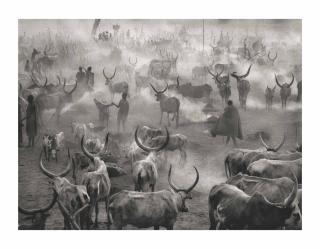 Sebastião Salgado - Dinka Cattle Camp of Amak, Southern Sudan, 2006