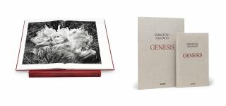 Sebastiao Salgado - Genesis