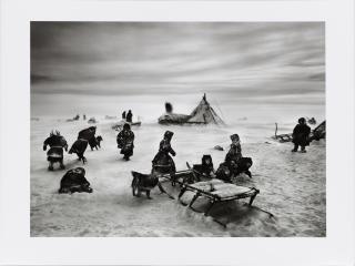 Sebastião Salgado - Nenet nomads Siberia, Russia
