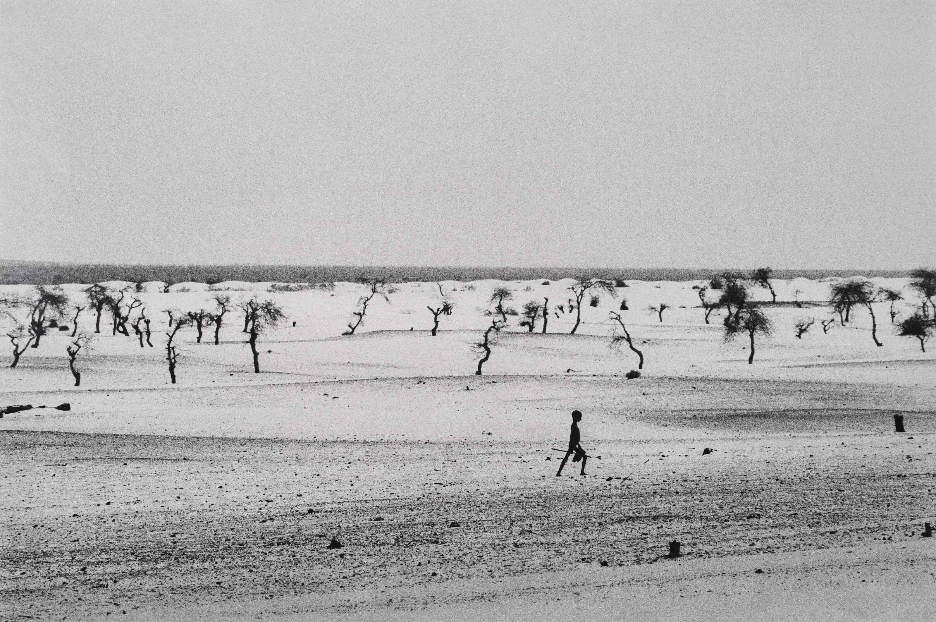 Sebastião Salgado - Site of the now dried Lake Faguibine, Mali, Africa, 1985