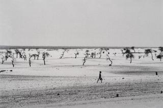 Sebastião Salgado - Site of the now dried Lake Faguibine, Mali, Africa, 1985