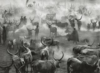 Sebastião Salgado - \'Sud-Sudan\'