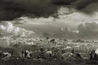 Sebastiao Salgado - The first day of installation of the camp of Benako for the Rwandan Tutsi and Hutu Refugees, Tanzania, 1994