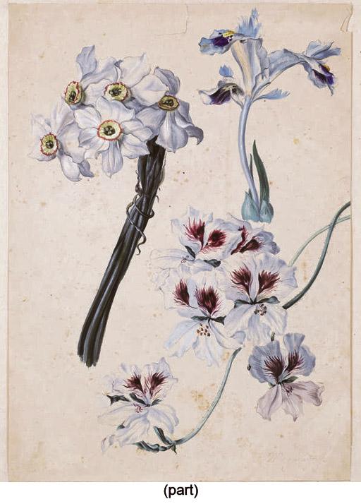 Sebastien Wegmayr - Bouquet de narcisses, six iris rouges et un iris bleu