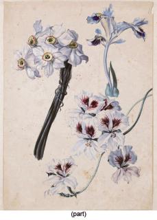 Sebastien Wegmayr - Bouquet de narcisses, six iris rouges et un iris bleu