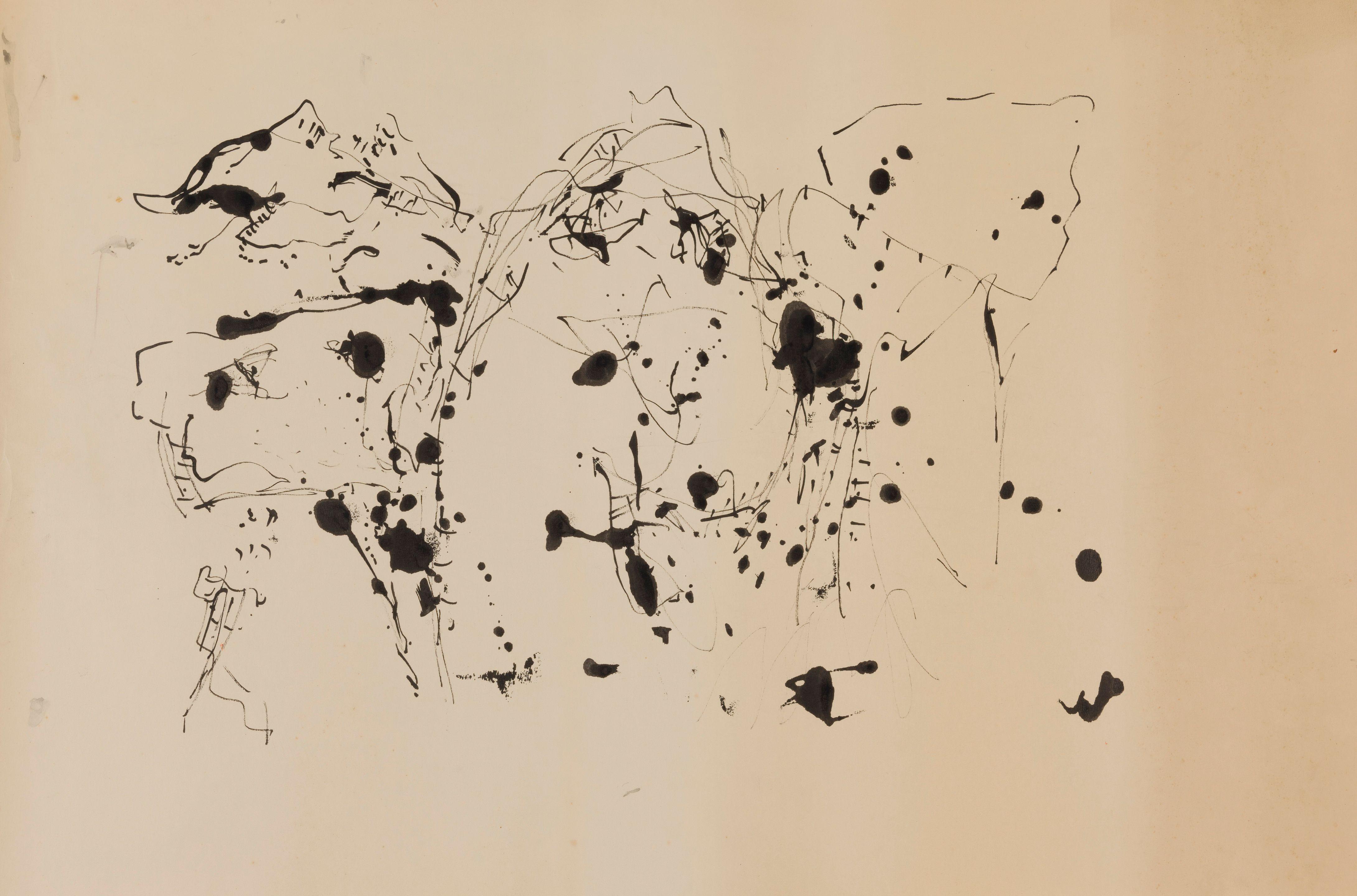 Serge Vandercam - Fagnes