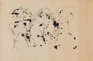 Serge Vandercam - Fagnes