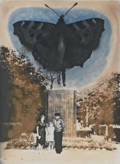 Sergei Kozhemiakin - Three Works From The Blue Butterflies Series And Two Works From Phantom Sensations Series