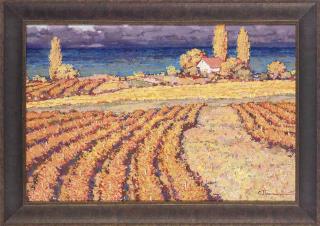 Sergei Patikovski - Vineyards