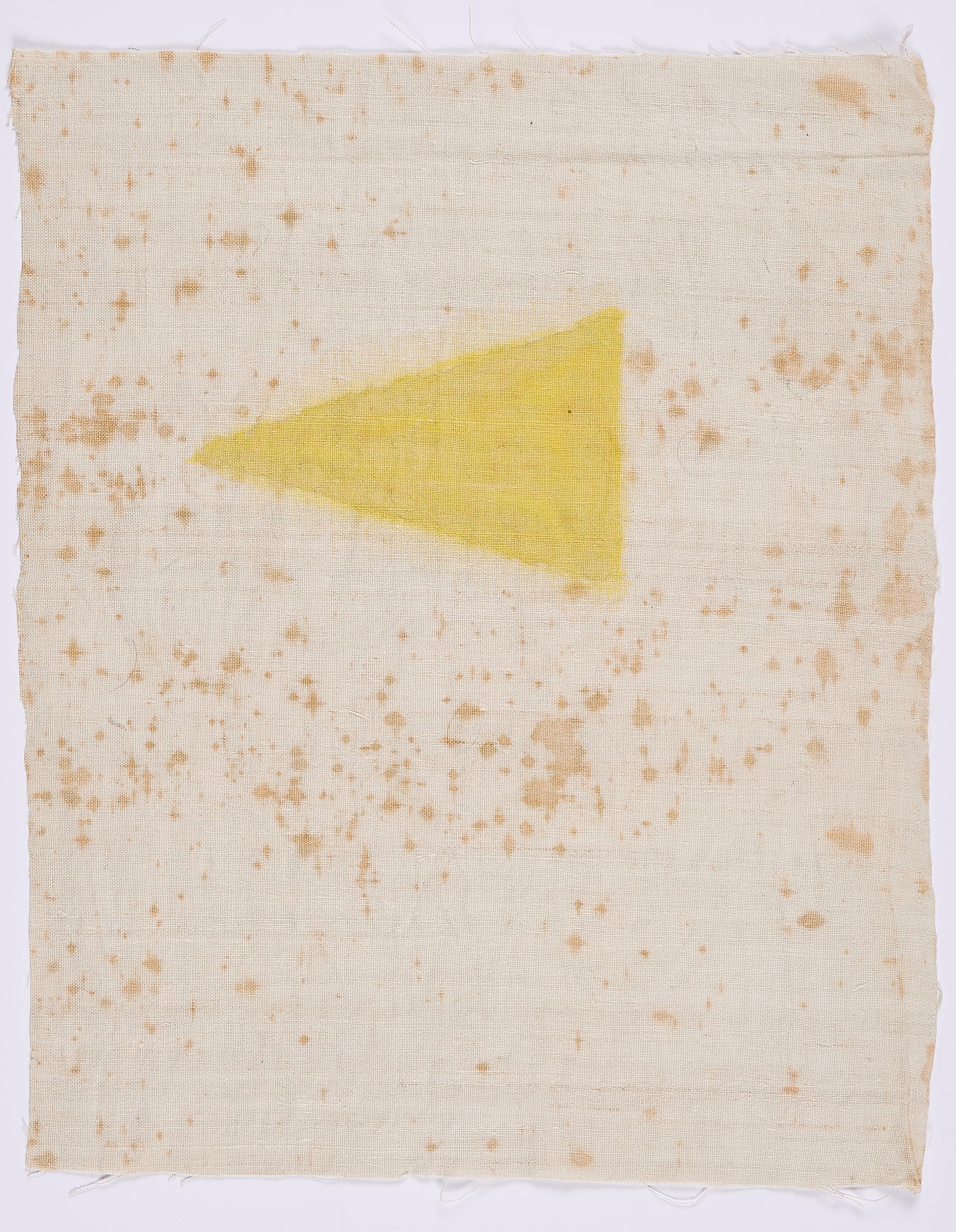 Sergej Jensen - The last yellow Triangle.