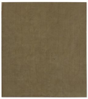 Sergej Jensen - Untitled