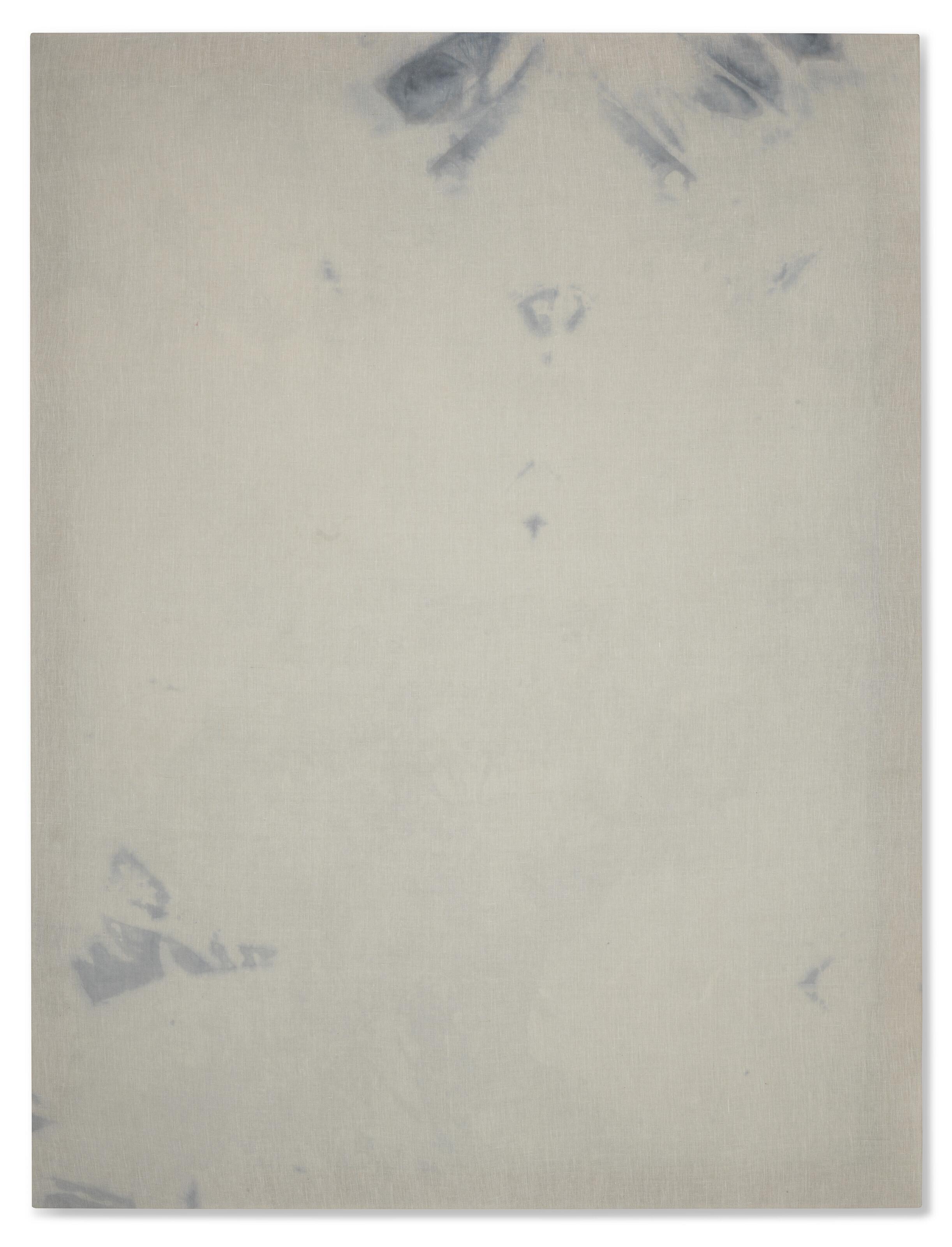 Sergej Jensen - Untitled