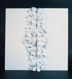 Sergio Camargo - Opus n.134