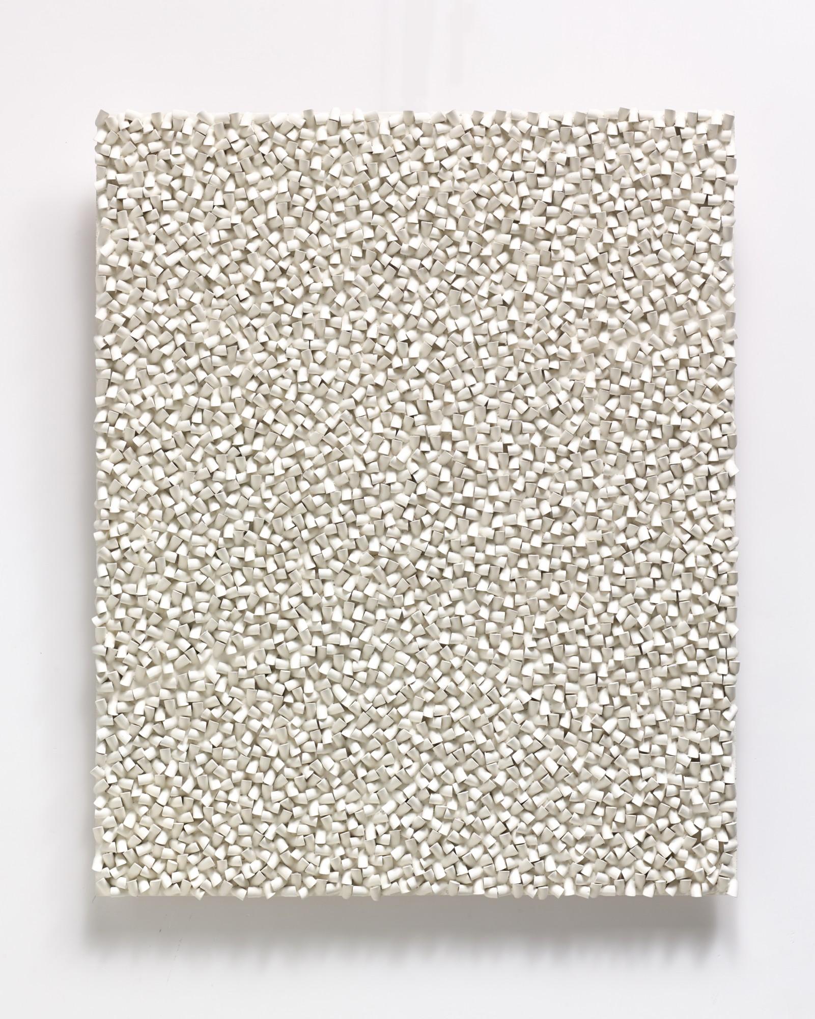 Sergio Camargo - Relief n. 337