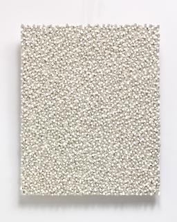 Sergio Camargo - Relief n. 337