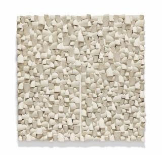 Sergio Camargo - Relief no. 180