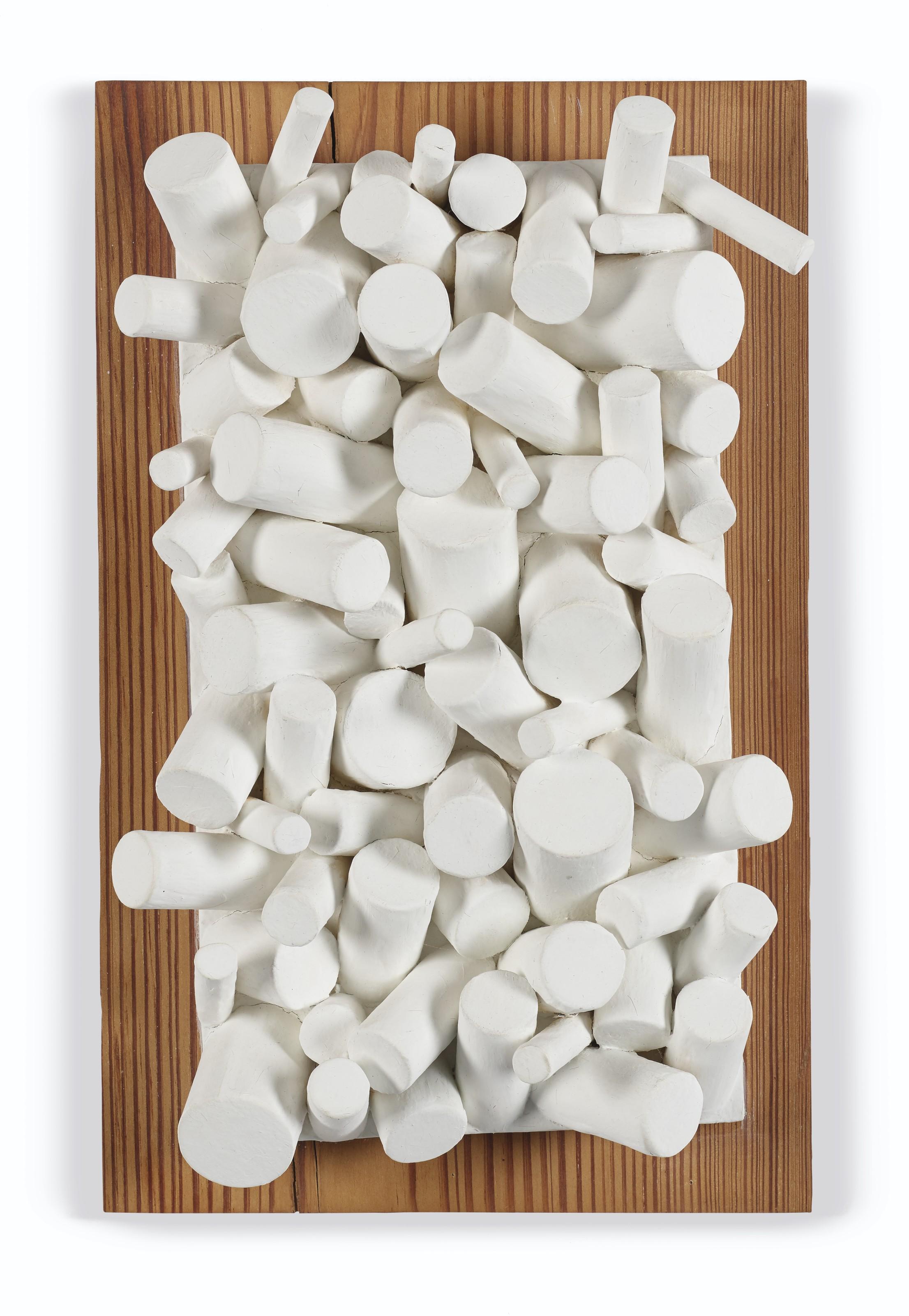 Sergio Camargo - Relief No. 193