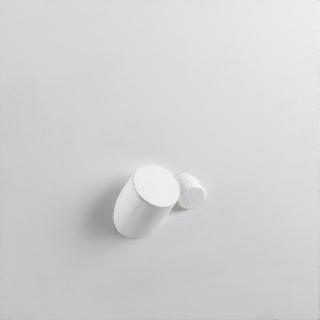 Sergio Camargo - Relief No.212