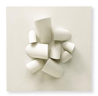 Sergio Camargo - Relief No. 246