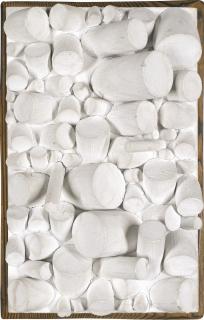 Sergio Camargo - Relief No. 31