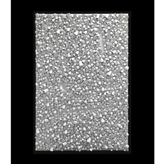 Sergio Camargo - Relief