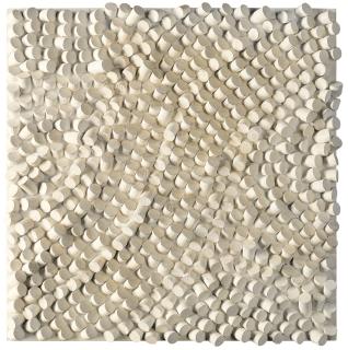 Sergio Camargo - Relief