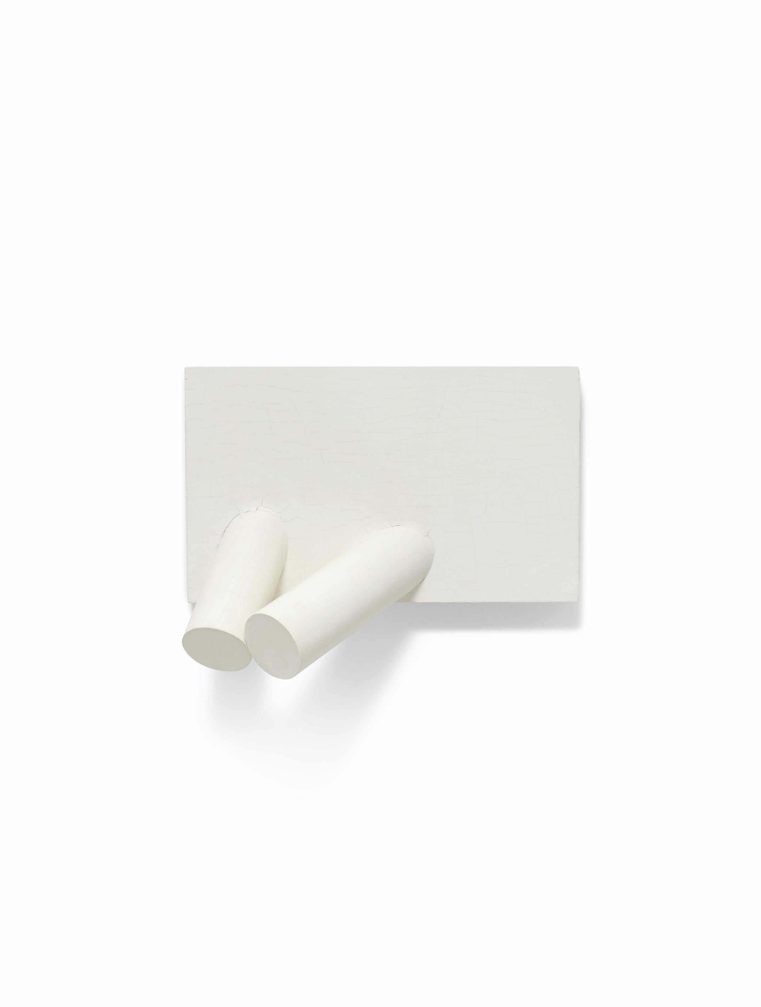 Sergio Camargo - Sans Titre