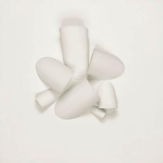 Sergio Camargo - Untitled (No. 368)