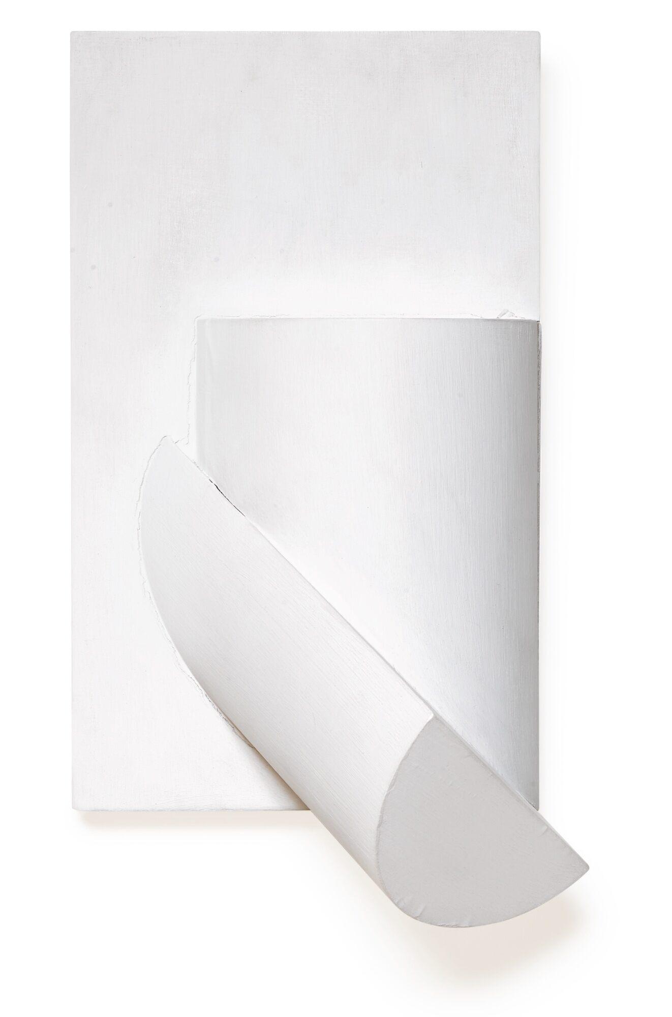 Sergio Camargo - Untitled