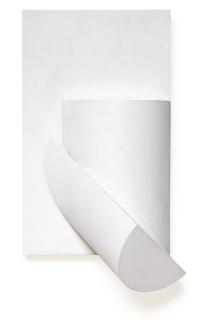 Sergio Camargo - Untitled