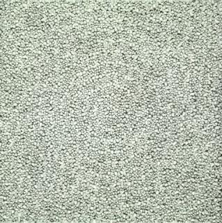 Sérgio de Camargo - 346