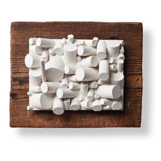 Sérgio de Camargo - Untitled.