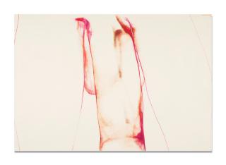 Servando Cabrera Moreno - el corazón del plátano