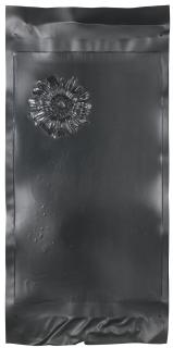 Seth Price - Untitled (Flower)