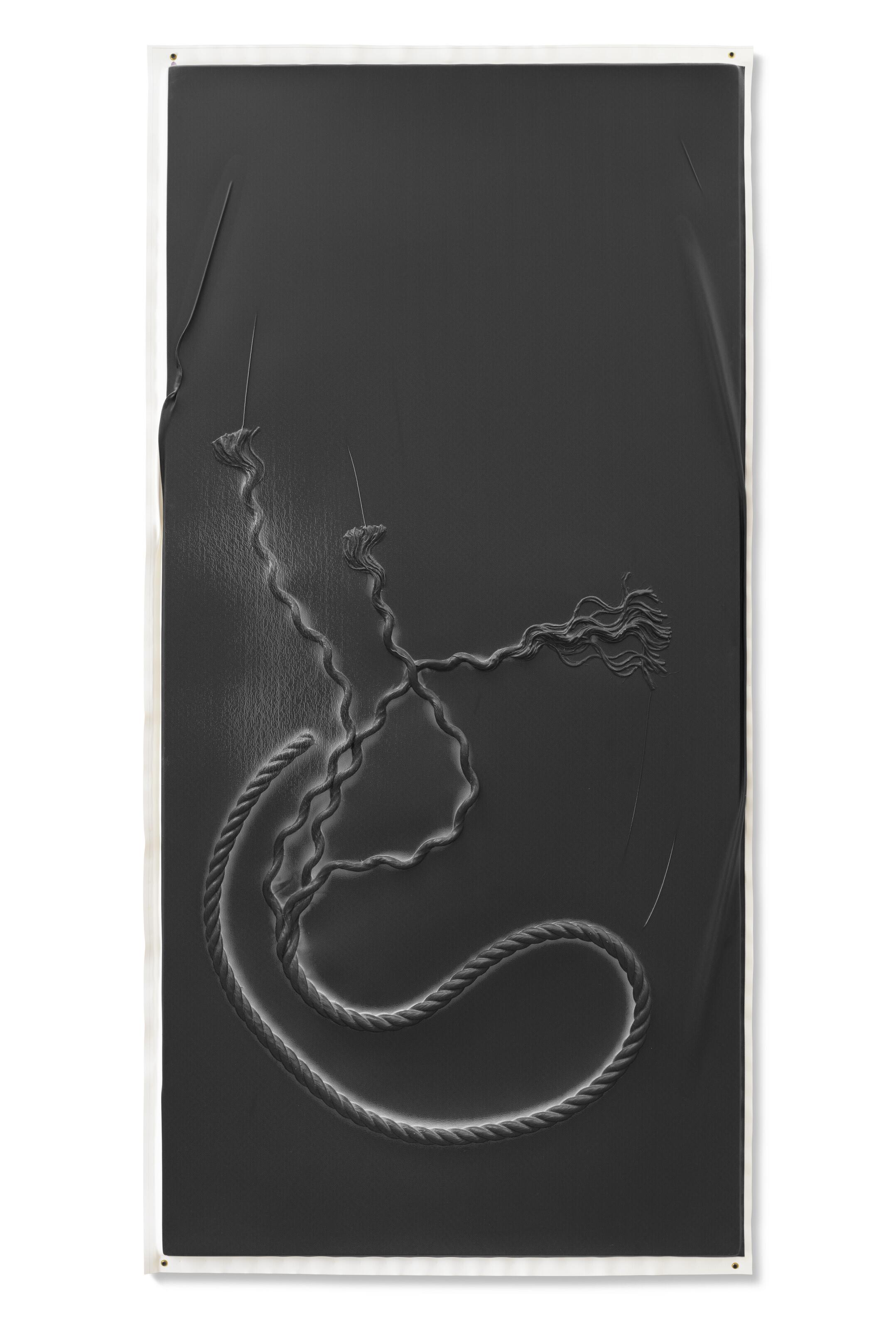 Seth Price - Untitled