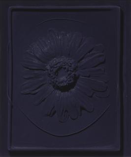 Seth Price - Untitled